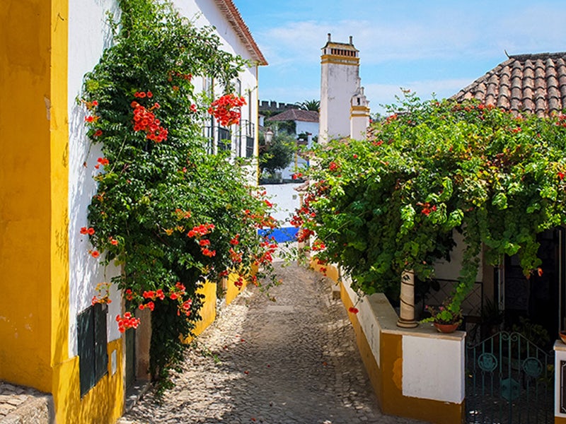 Day Trip to Óbidos from Lisbon with Interactive Guide